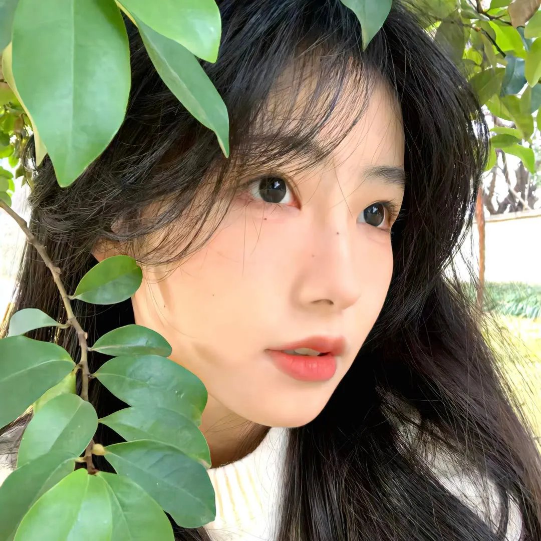 兔子陷阱